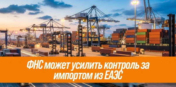 ФНС может усилить контроль за импортом из ЕАЭС - превью